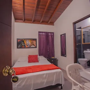 Palma De Sevilla Medellín
